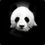 PANDA@Sakh