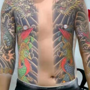 我是刘仕龙的鲨鱼肌