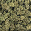 Gorilla Glue #4