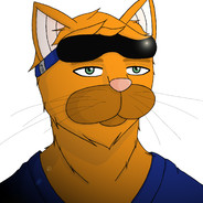 Katzen48 | Tobi
