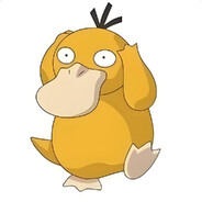 再玩迷城我就是狗