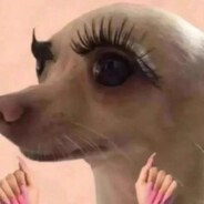 不要迷恋哥哥只是传说