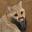 Cat LaDen