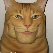 失眠就听蔡健雅