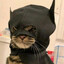 (BATCAT) Rone  SKINS