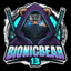 BionicBear13