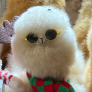 那年我双手插兜，不知道什么叫对手