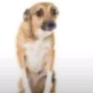 Avatar of -nerf0mess unreal?