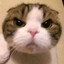 돌카