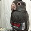 Diet Parrot