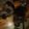 Sir Cat Legend's Avatar