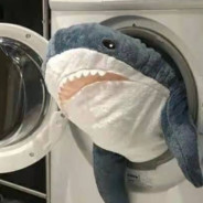 正在处理并编译着色器