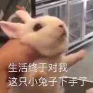 不想走回家