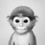 Smoke Monkey