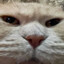 Frapslol