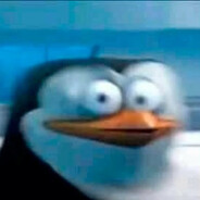 SKIPPER