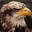 Eagle Örn Deagleson the 8th