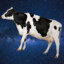 SpaceCow.