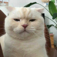 Yanny - steam id 76561199168943551