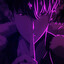 𝐒𝐀𝐊𝐘𝐓𝐀