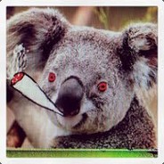 [DPN] WildKoala