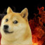 ✪ Just DoGe ✪