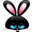 Black Bunny