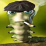 ГУСЕНИЧКА ШЕЛБИ