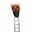 osama bin ladder