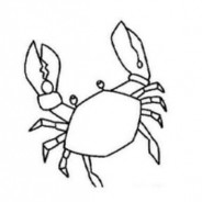 Crabshadow avatar