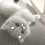 小清