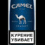 Camel compact