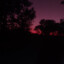 Rend1