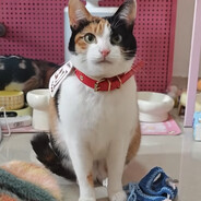 超级无敌大开门