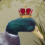 Duck Martin The King [FR]
