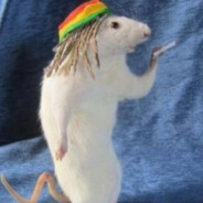 sendziarz96.skins.army