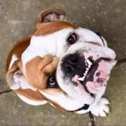 你看起来很好吃