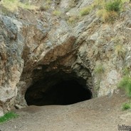 Le Cave Man