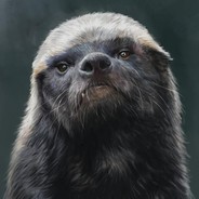 国家墙头草培育家