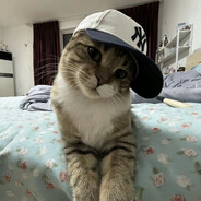 春逢芝兰意正浓