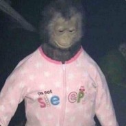 Sneethrak