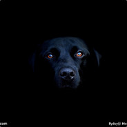 东莞屠狗大队长