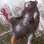 Rat with a Gat