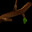 Stick