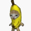 Banana Cat