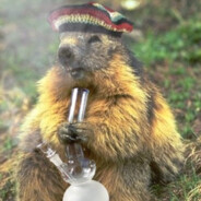 ОБКУРЕННЫЙ_БОБЕР