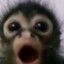 Grinjoly