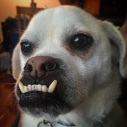 🐕"NhâuNhâuNhâu"🐕