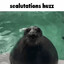 TheDealSeal