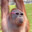 MichaeltheMonkey